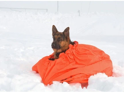 Jerven - Jervehiet 4 Jerven - Jervehiet - Bilde 2